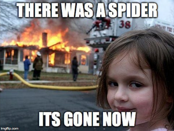 Meme Spider